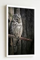 Quadro Decorativo Foto Coruja Galho Seco - 70x50cm