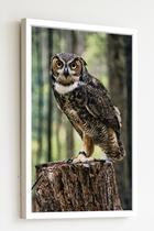 Quadro Decorativo Foto Coruja Tronco Árvore - 70X50Cm Quadro Decorativo Foto Coruja Tronco Árvore - 70X50Cm