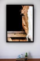 Quadro Decorativo Foto Face Cavalo Marrom - 70X50Cm