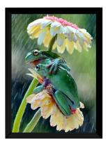 Quadro Decorativo Foto Sapos Na Chuva Flor Natureza