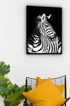 Quadro Decorativo Foto Zebra Perfil - 70X50Cm