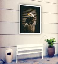 Quadro Decorativo Fotografia Águia Tronco - 70x50cm