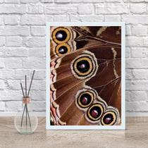 Quadro Decorativo Fotografia Asa De Borboleta 33x24cm Quadro Decorativo Fotografia Asa De Borboleta 33x24cm