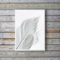 Quadro Decorativo Fotografia Branca Pena 45x34cm - com vidro
