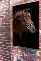 Quadro Decorativo Fotografia Cavalo Perfil - 70X50Cm Quadro Decorativo Fotografia Cavalo Perfil - 70X50Cm