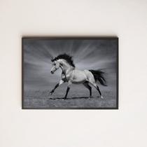 Quadro Decorativo Fotografia Cavalo Preto e Branco 24x18cm