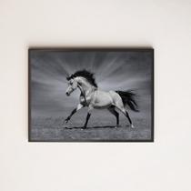 Quadro Decorativo Fotografia Cavalo Preto e Branco 45x34cm - com vidro