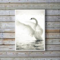 Quadro Decorativo Fotografia Cisne Branco 24x18cm - com vidro