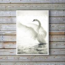 Quadro Decorativo Fotografia Cisne Branco 45X34Cm