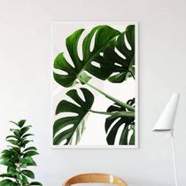 Quadro Decorativo Fotografia Costela de Adão 45x34cm