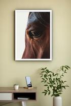 Quadro Decorativo Fotografia Olho Cavalo - 70x50cm Quadro Decorativo Fotografia Olho Cavalo - 70x50cm
