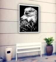 Quadro Decorativo Fotografia Perfil Águia P&B - 70x50cm