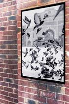 Quadro Decorativo Fotografia Pombos - 70X50Cm