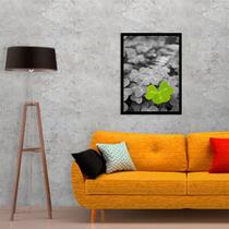 Quadro Decorativo Fotografia Trevo 45x34cm Quadro Decorativo Fotografia Trevo 45x34cm