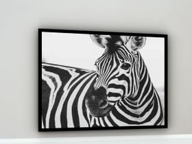 Quadro Decorativo Fotografia Zebra Preto e Branco - 70x50cm Quadro Decorativo Fotografia Zebra Preto e Branco - 70x50cm