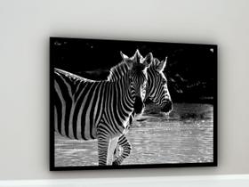 Quadro Decorativo Fotografia Zebras P&B - 70x50cm Quadro Decorativo Fotografia Zebras P&B - 70x50cm