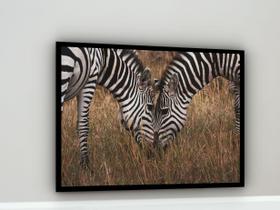 Quadro Decorativo Fotografia Zebras Pasto - 70x50cm