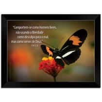 Quadro Decorativo Frases Borboleta Com Moldura E Vidro