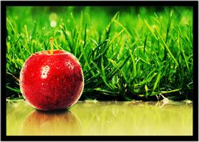 Quadro Decorativo Frutas Maçã Gourmet Culinária Cozinha Restaurantes Com Moldura RC001