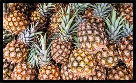 Quadro Decorativo Frutas Nutrição Abacaxi Fruteira Lojas Cozinha Mercearias Com Moldura RC024 Quadro Decorativo Frutas Nutrição Abacaxi Fruteira Lojas Cozinha Mercearias Com Moldura RC024