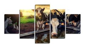 Quadro decorativo Gado de leite vaca raça holandes