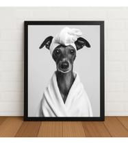 Quadro Decorativo Galgo Italiano Spa Roupão Com Vidro Preto Quadro Decorativo Galgo Italiano Spa Roupão Com Vidro Preto