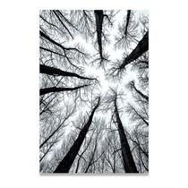 Quadro Decorativo Galhos Secos Natureza Lindo Para Sala