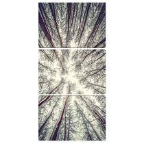 Quadro Decorativo Galhos Secos para Sala Natureza Parede