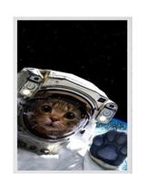 Quadro Decorativo Gatinho Astronauta 33X24 Com Vidro - Preta