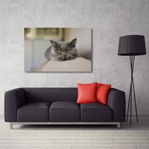 Quadro decorativo Gatinho com Tela de Tecido