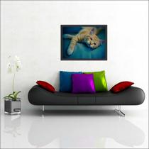 Quadro Decorativo Gato Animais Petshop Animais Salas Decorações Com Moldura
