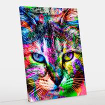 Quadro Decorativo Gato Canvas 60x90 - Foto Paulista