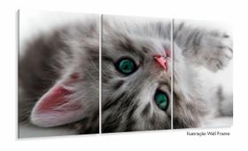 Quadro Decorativo Gato Deitado Olho Azul 120x60 Sala Quarto Quadro Decorativo Gato Deitado Olho Azul 120x60 Sala Quarto
