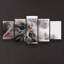 Quadro Decorativo Gato Deitado Olho Azul 129x61 Sala Quarto Quadro Decorativo Gato Deitado Olho Azul 129x61 Sala Quarto