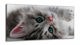 Quadro Decorativo Gato Deitado Olho Azul 1em Tecido Canvas 130x60Sala Quarto