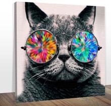 Quadro Decorativo Gato Óculos Colorido Midiapoparte 60X60 Cm
