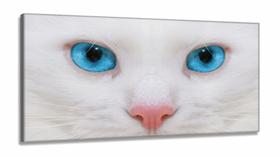 Quadro Decorativo Gato Olho Azul em Tecido Canvas 130x60