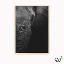 Quadro Decorativo GRANDE A3 43x32cm Elefante