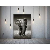 Quadro Decorativo Grande Animais Elephant Walk - 120x80cm