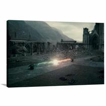 Quadro decorativo Harry Potter com Tela em Tecido Quadro decorativo Harry Potter com Tela em Tecido