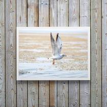 Quadro Decorativo Horizontal Gaivota Praia 24x18cm - com vidro