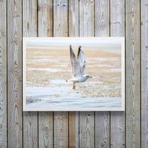 Quadro Decorativo Horizontal Gaivota Praia 33X24Cm - Vidro