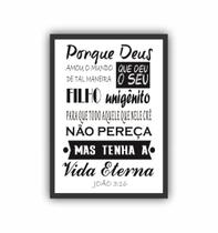 Quadro Decorativo João 3 16