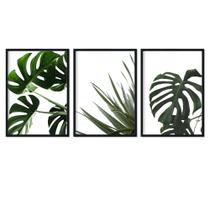 Quadro Decorativo Kit 3 Folhagens Verde Natural Costela Adão Sala Quarto Escritório