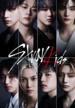 Quadro Decorativo Kpop Stray Kids 20x28 Placa MDF Decoração Quarto