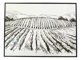 Quadro Decorativo Lavoura Uva PelículaVidro -Vinho Moldurado