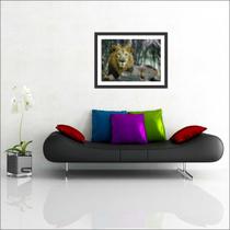 Quadro Decorativo Leão Animais Decorações Com Moldura