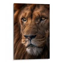Quadro decorativo Leão com Olhar de Sabedoria - Art Canvas
