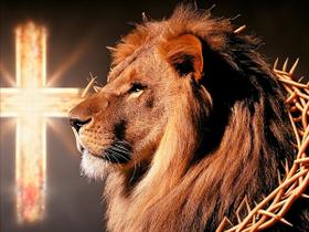 Quadro decorativo Leão de juda com coroa de espinhos, e cruz Quadro decorativo Leão de juda com coroa de espinhos, e cruz