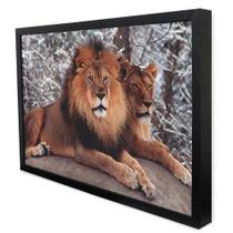 Quadro Decorativo Leão e Leoa em Moldura Caixa